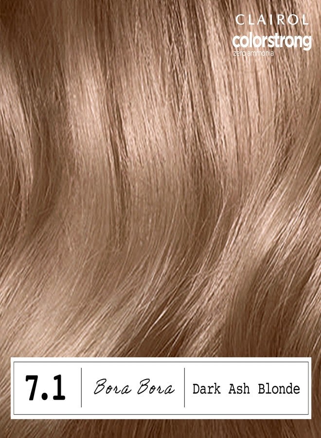 Clairol ColorStrong Permanent Zero Ammonia Hair Dye, 7.1 Dark Ash Blonde - Bora Bora Hair Color, Pack of 1 - Image 3